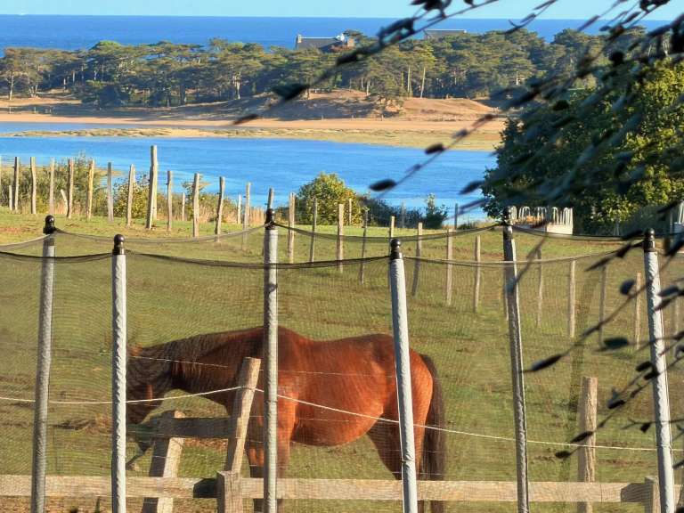 Manoir avec Vue sur mer Sables-d-or-les-pins - 15 chambres - 501m²