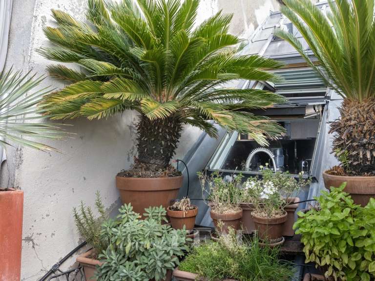Apartment Paris 10e - 2 bedrooms - 114m²