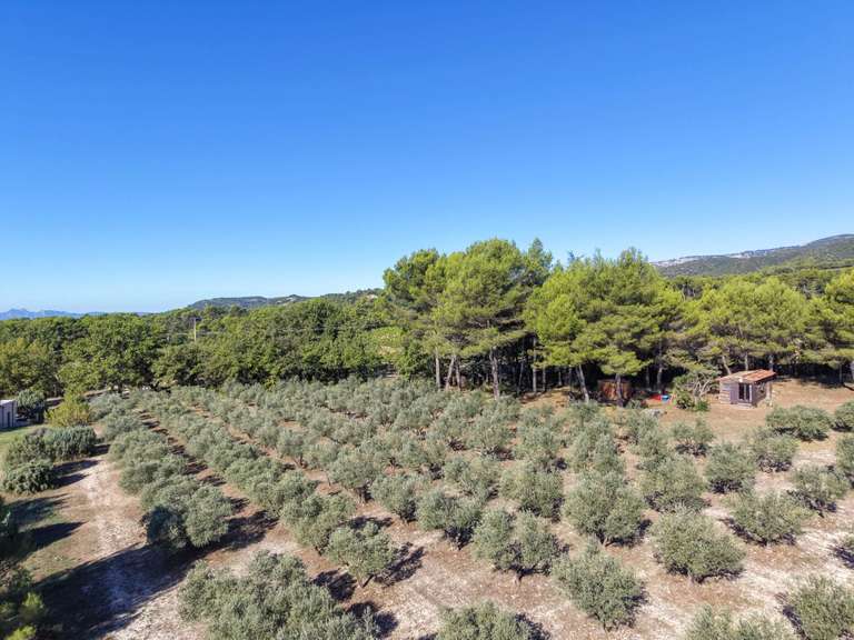Maison Puget - 3 chambres - 125m²