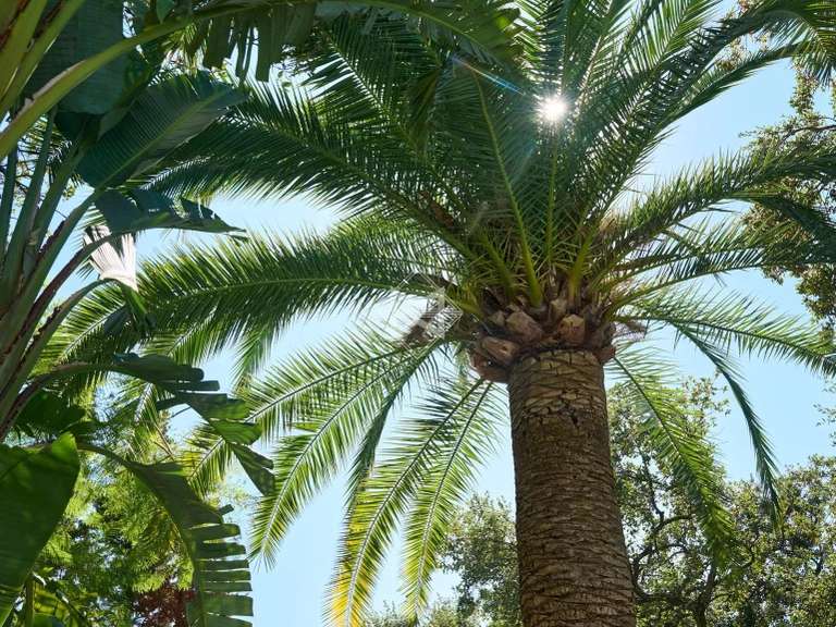 Villa Agay - 2 chambres - 100m²