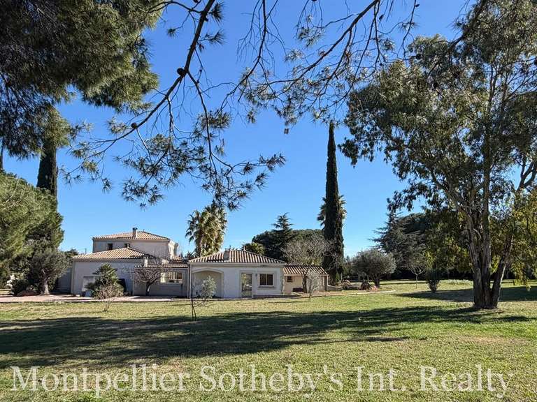 Maison Agde - 5 chambres - 266m²