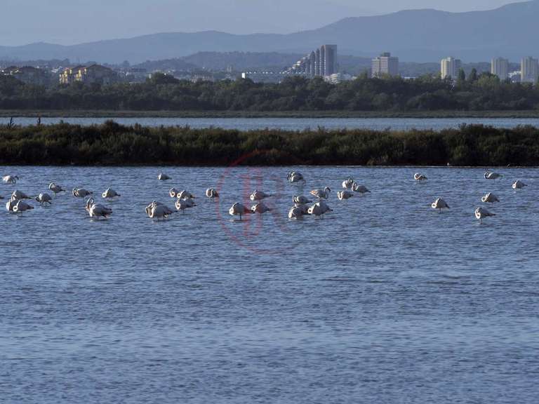 Maison Agde - 4 chambres - 120m²