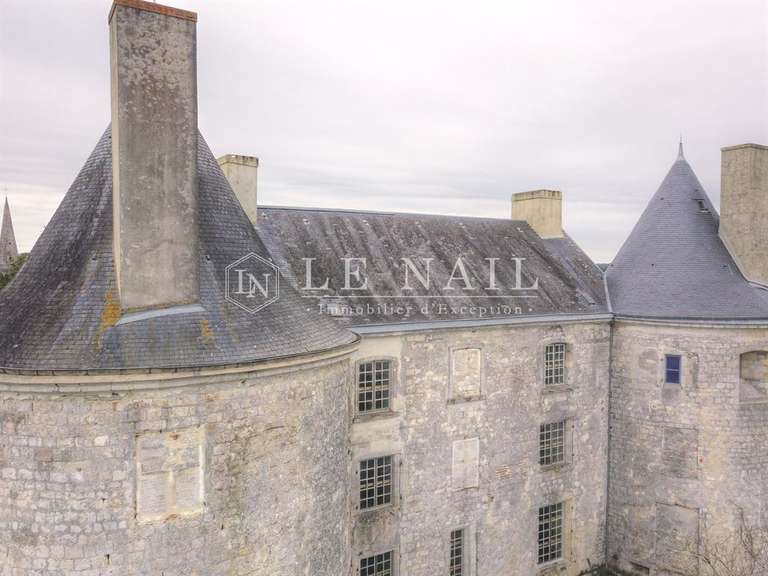 Château Agen - 12 chambres - 800m²
