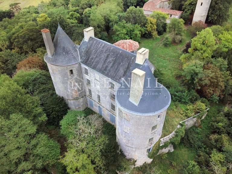Château Agen - 12 chambres - 800m²