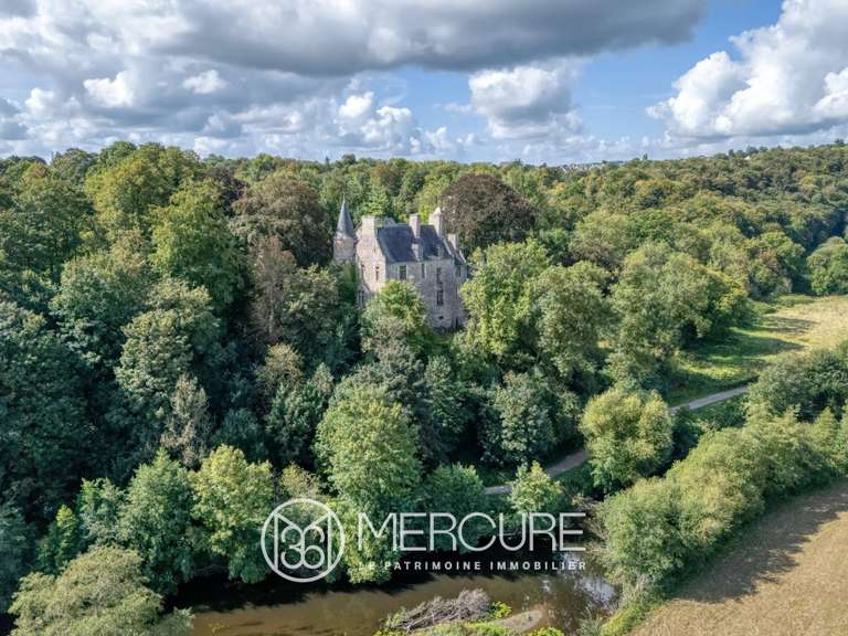 Château Agneaux - 12 chambres - 600m²