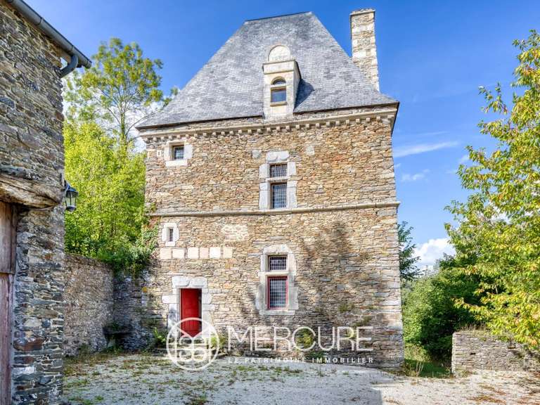 Château Agneaux - 12 chambres - 600m²