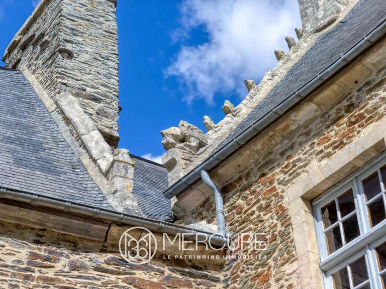 Château Agneaux - 12 chambres - 600m²