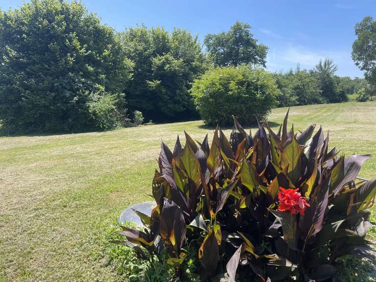 Maison Aignan - 8 chambres - 617m²