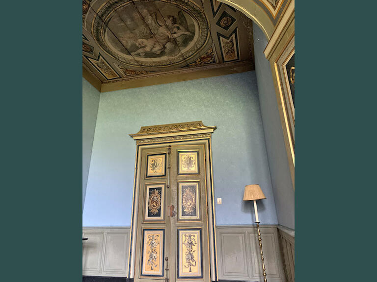 Castle Aigueperse - 17 bedrooms - 1300m²