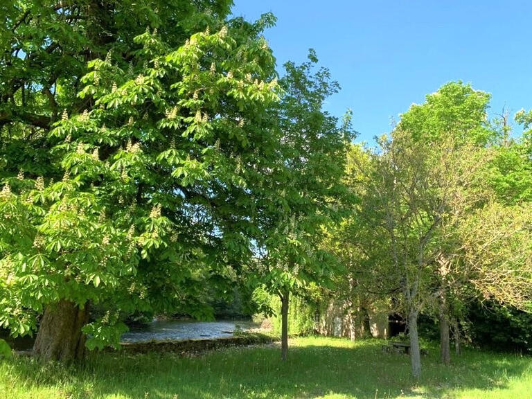 Castle Aigueperse - 17 bedrooms - 1300m²
