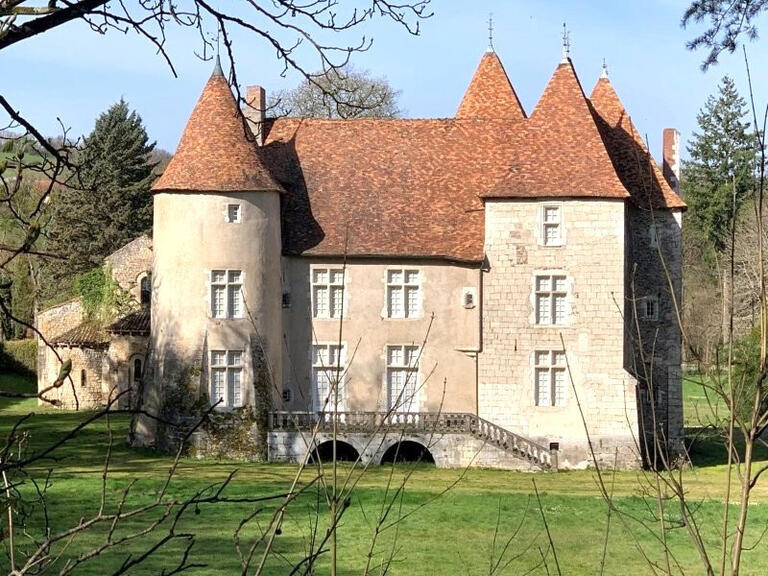 Castle Aigueperse - 17 bedrooms - 1300m²