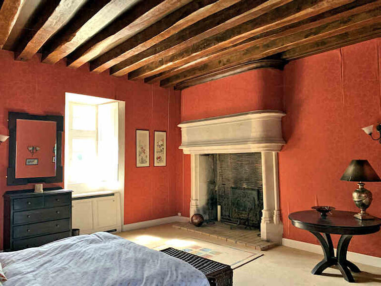 Castle Aigueperse - 17 bedrooms - 1300m²
