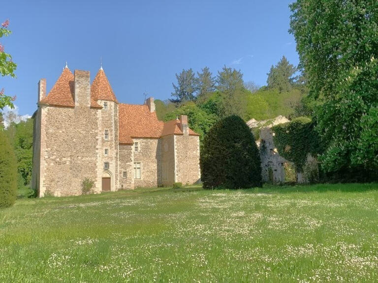 Castle Aigueperse - 17 bedrooms - 1300m²