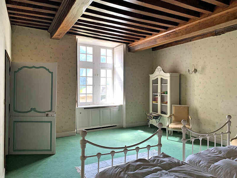 Castle Aigueperse - 17 bedrooms - 1300m²