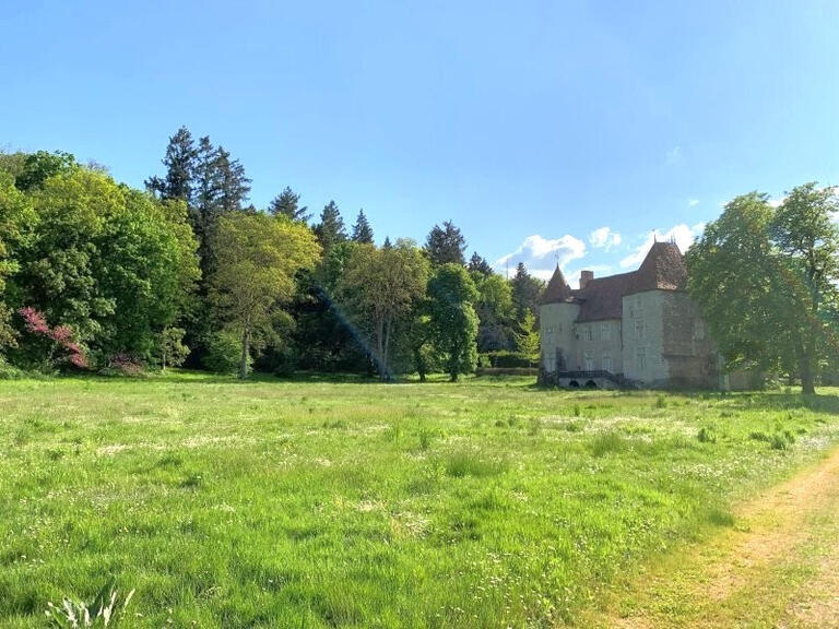 Castle Aigueperse - 17 bedrooms - 1300m²