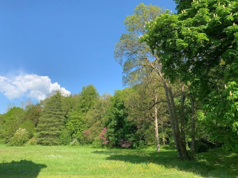 Castle Aigueperse - 17 bedrooms - 1300m²