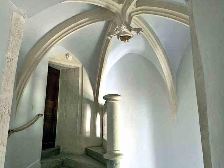 Castle Aigueperse - 17 bedrooms - 1300m²
