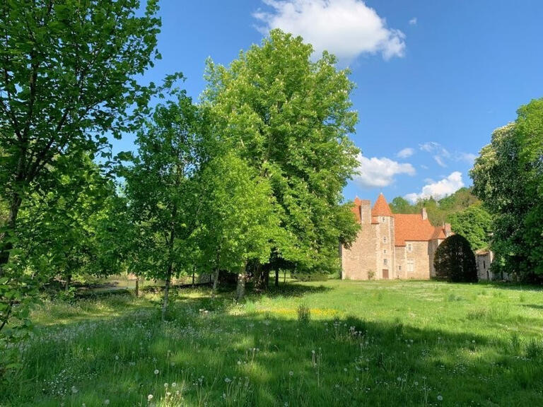 Castle Aigueperse - 17 bedrooms - 1300m²
