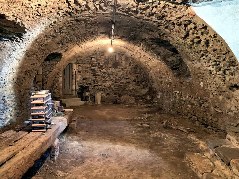 Castle Aigueperse - 17 bedrooms - 1300m²