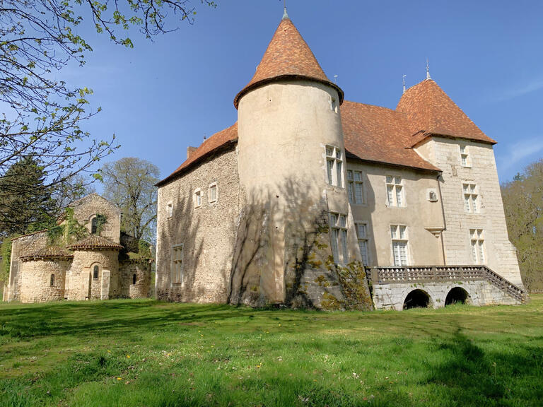 Castle Aigueperse - 17 bedrooms - 1300m²
