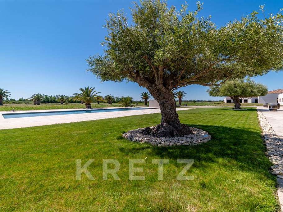 House Aigues-Mortes