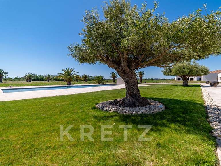 Maison Aigues-Mortes - 9 chambres - 2000m²
