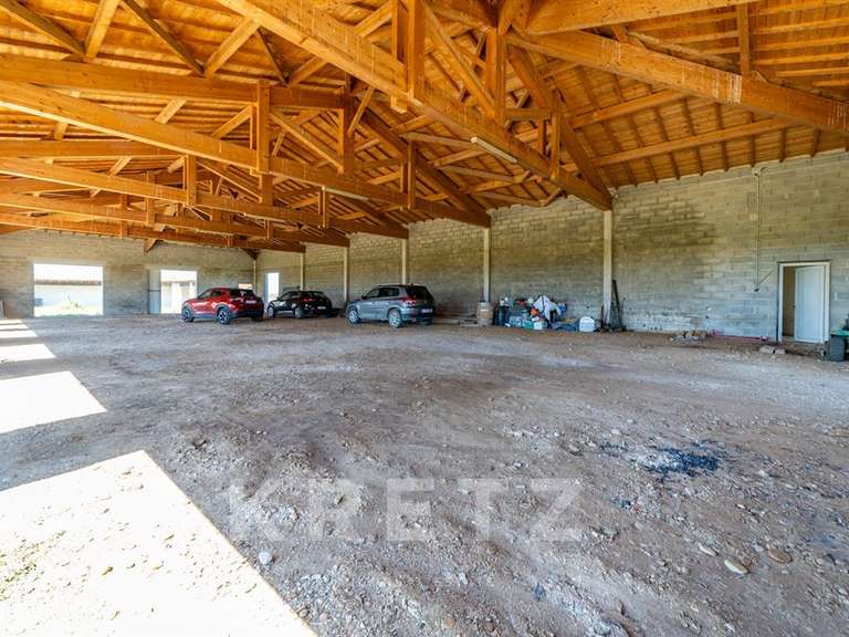 Maison Aigues-Mortes - 9 chambres - 2000m²