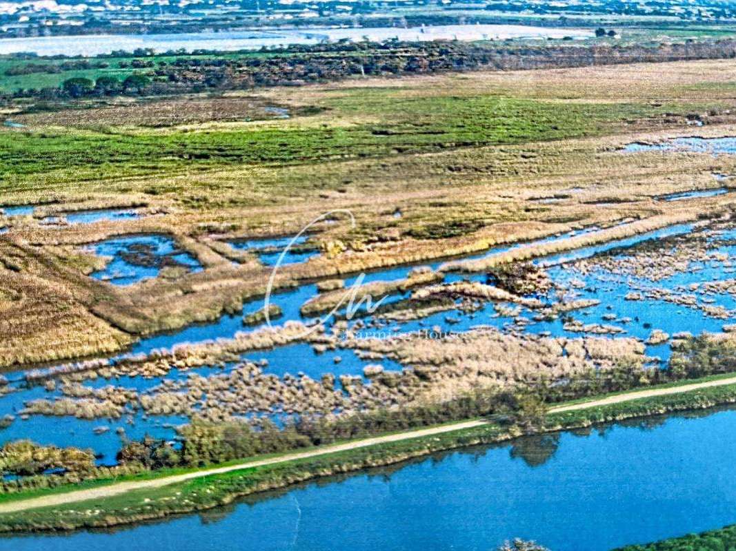 Propriété Aigues-Mortes