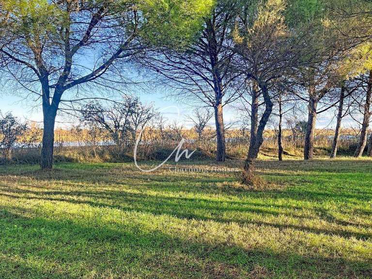 Propriété Aigues-Mortes - 50 chambres