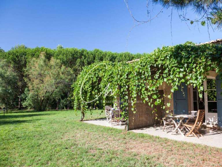 Property Aigues-Mortes - 50 bedrooms