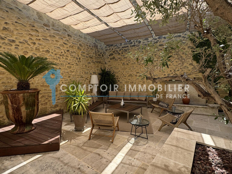 Maison Aigues-Vives - 4 chambres - 300m²