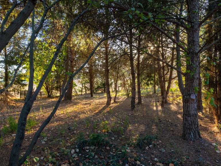 House Aigues-Vives - 200m²