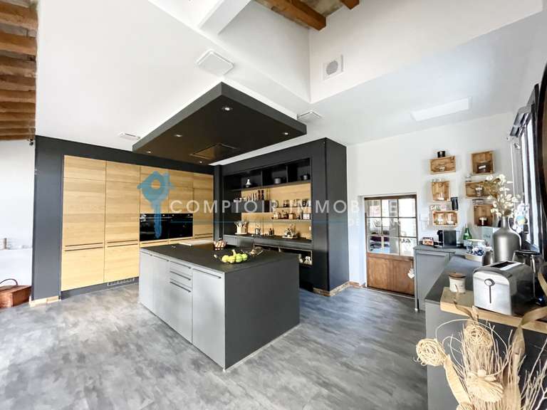 House Aigues-Vives - 4 bedrooms - 300m²