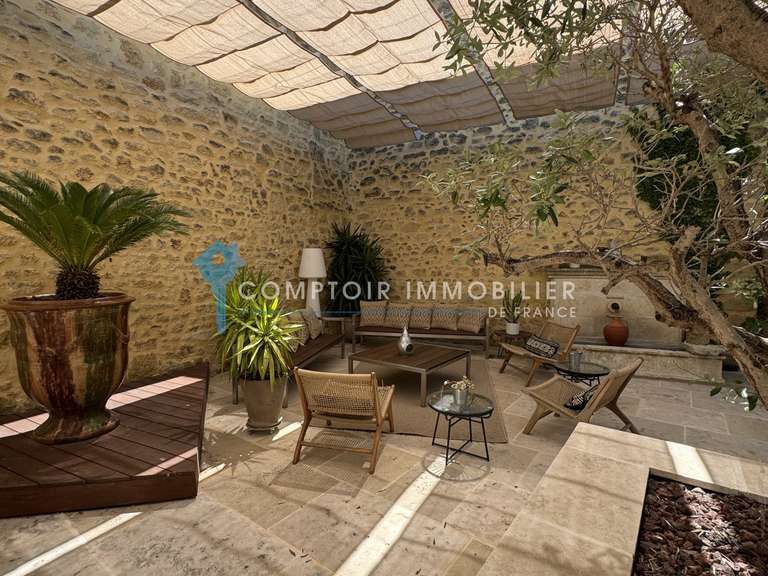 House Aigues-Vives - 4 bedrooms - 300m²