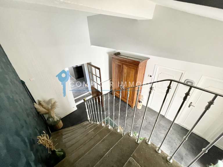 House Aigues-Vives - 4 bedrooms - 300m²