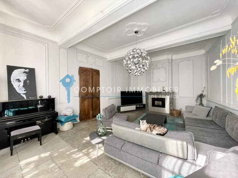 House Aigues-Vives - 4 bedrooms - 300m²