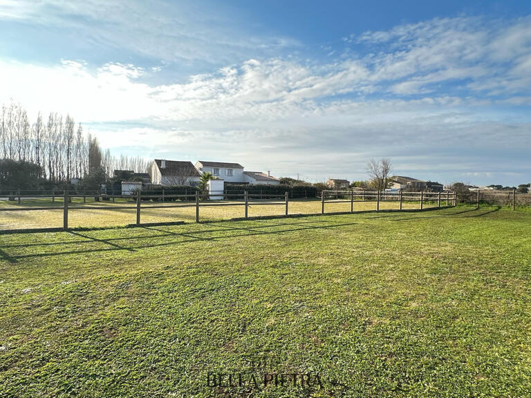 Maison Aimargues - 6 chambres - 302m²