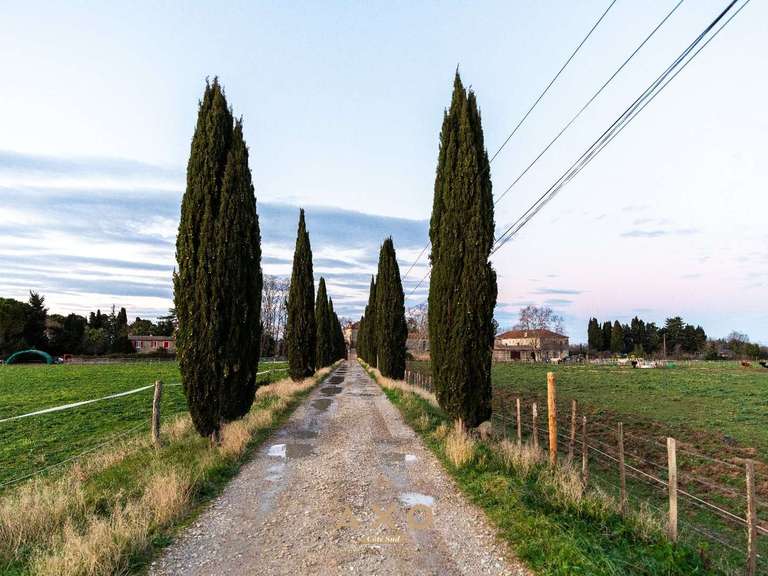 House Aimargues - 4 bedrooms