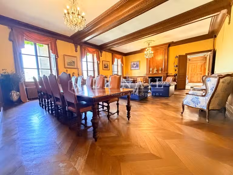 Castle Airvault - 8 bedrooms - 600m²