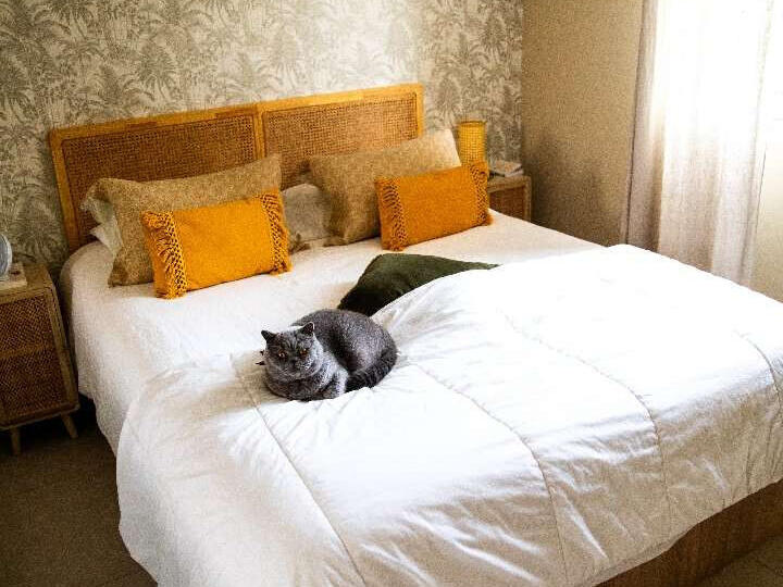 Appartement Aix-en-Provence - 3 chambres