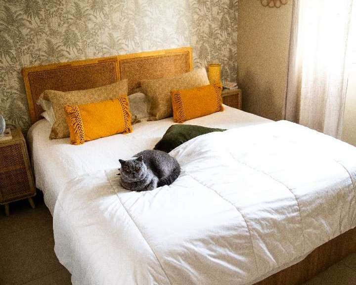Appartement Aix-en-Provence - 3 chambres