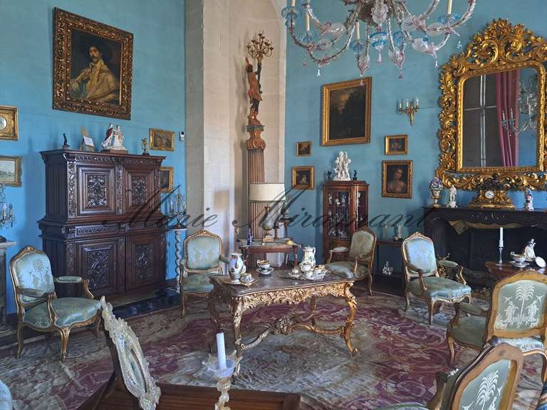 Château Aix-en-Provence - 11 chambres - 2200m²