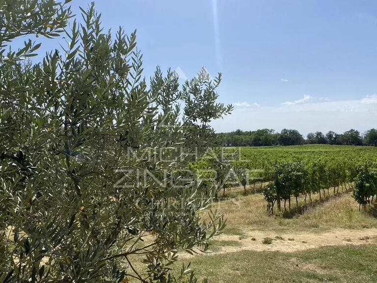 Vente Domaine viticole Aix-en-Provence