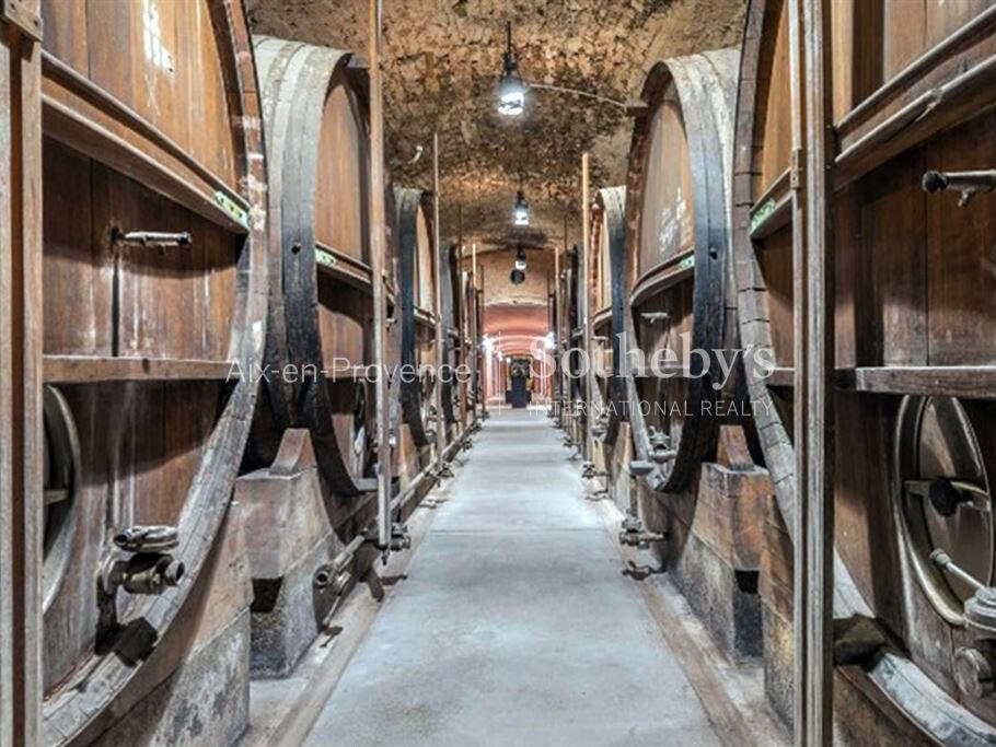 Vineyard Aix-en-Provence