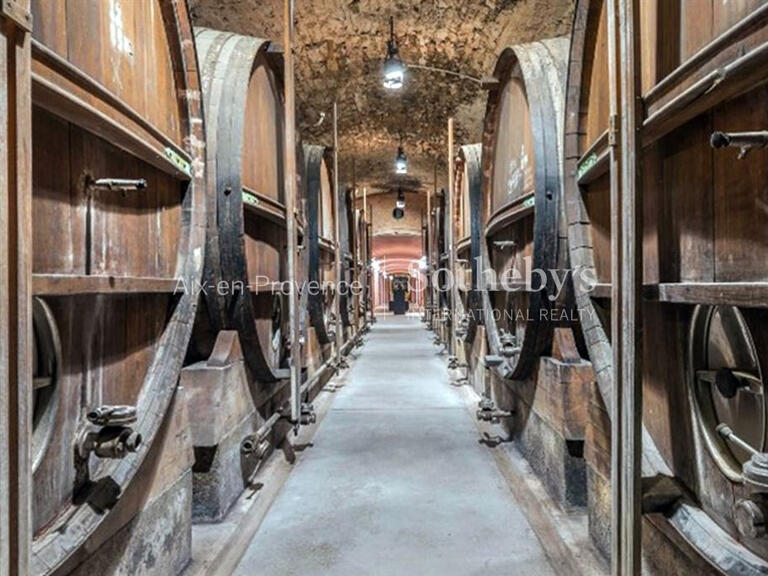 Domaine viticole Aix-en-Provence - 13 chambres - 1250m²