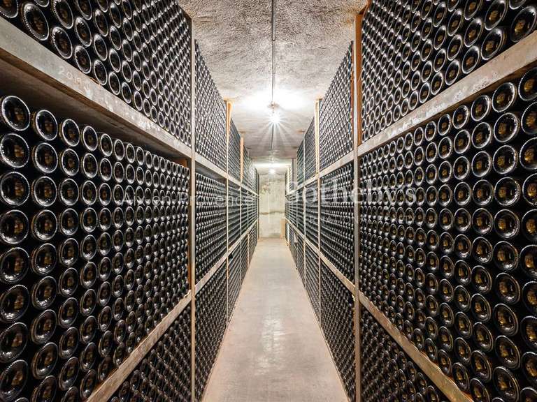 Domaine viticole Aix-en-Provence - 13 chambres - 1250m²