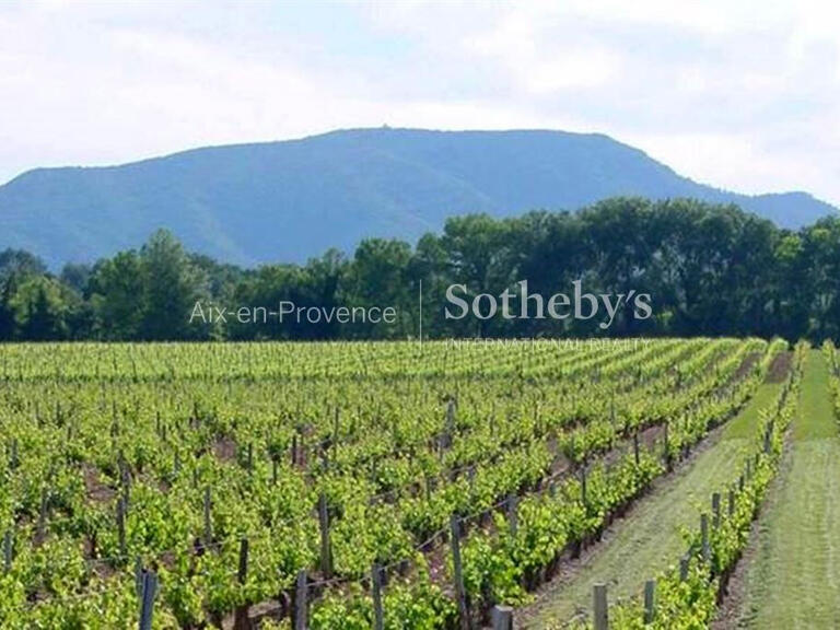 Domaine viticole Aix-en-Provence - 13 chambres - 1250m²