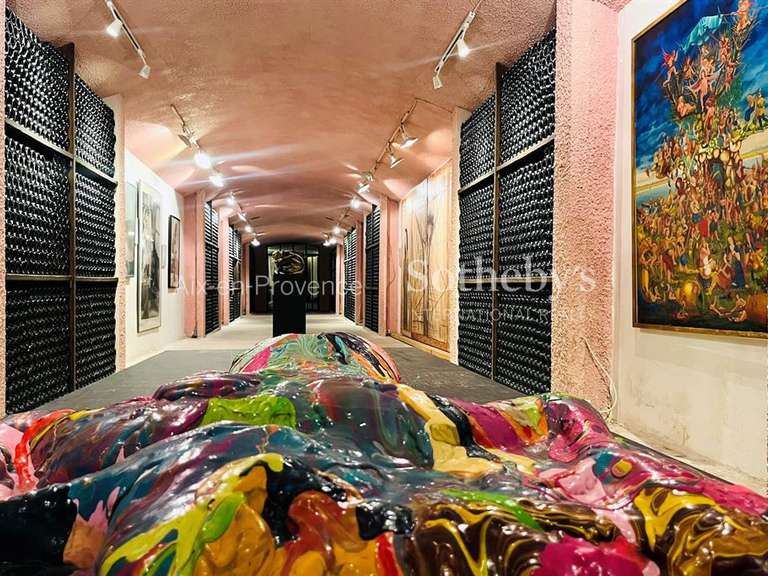 Domaine viticole Aix-en-Provence - 13 chambres - 1250m²