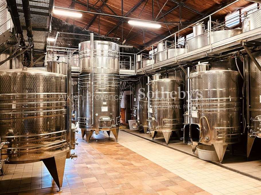 Vineyard Aix-en-Provence