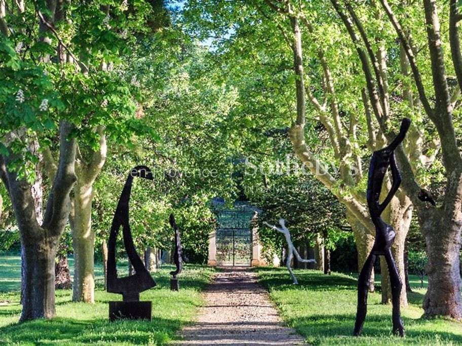 Vineyard Aix-en-Provence